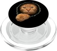 Adorable Chat tigré Orange Yeux dorés regardant à Travers PopSockets PopGrip pour MagSafe