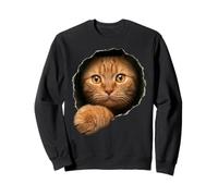 Adorable Chat tigré Orange Yeux dorés regardant à Travers Sweatshirt