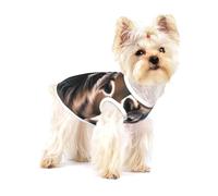 Adorable chemise pour chien avec motif raton laveur (1) pour petites races comme les chihuahuas, yorkshires et chiots