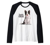 Adorable chien Border Collie - Mignon chien de mouton écossais Manche Raglan