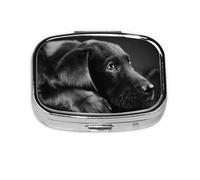 Adorable chien labrador noir, pilulier à 2 compartiments, organiseur portable