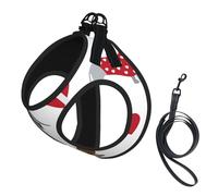 Adorable Chien Teckel,Harnais pour Animaux de Compagnie, Harnais réfléchissant réglable pour Chien,M