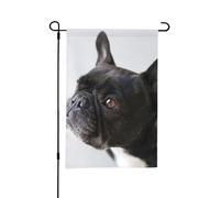 Adorable chiot bouledogue français noir,Drapeau de jardin décoratif double face pour intérieur et extérieur, 30 x 45 cm