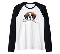 Adorable Chiot Saint Bernard Qui Regarde Les Chiens St. Bernie Manche Raglan