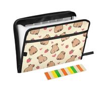 Adorable classeur extensible Capybara avec cœurs fraises jaunes avec étiquettes adhésives, 13 poches accordéon organiseur de documents avec fermeture éclair