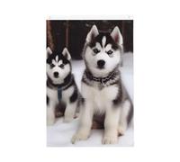 Adorable drapeau de jardin Huskies Welcome - 61 x 91 cm - Double face - Ne se décolore pas - Toile de fond pour photo - Bannière pour cour, porche, pelouse, décoration extérieure