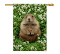 Adorable drapeau de jardin printanier, joli motif marmotte marron, bannière de décoration d'intérieur, toile de jute double face, décoration extérieure pour pelouse et jardin, parfait pour les
