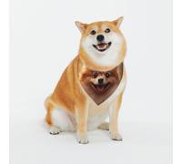 Adorable écharpe triangulaire pour petit chien pour chiens de petite, moyenne et grande taille, bandana noir