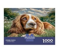 Adorable épagneul coloré dans Une Prairie Verte - Puzzle de 1000 pièces pour Adultes - Un défi Impossible - Cadeau Amusant - 52 x 38 cm