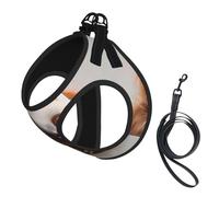 Adorable harnais et laisse pour chien, gilet réfléchissant et réglable pour chiens de petite, moyenne et grande taille