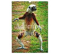 Adorable lemurs (Wall Calendar 2026 DIN A3 portrait), CALVENDO 12 Month Wall Calendar: Madagascar is the exclusive and endemic home of lemurs