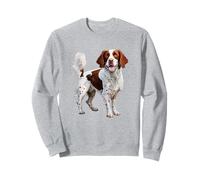 Adorable Motif épagneul Springer illustré Sweatshirt