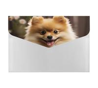 Adorable organiseur de documents accordéon en forme de chien de Poméranie à 6 poches avec étiquettes, dossiers de documents de voyage enveloppes en plastique avec fermeture à pression 33 x 23 cm