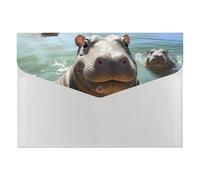Adorable organiseur de documents en accordéon à 6 poches avec étiquettes, dossiers de documents de voyage, enveloppes en plastique avec fermeture à pression, 33 x 23 cm
