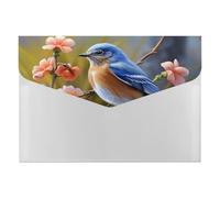 Adorable organiseur de documents en accordéon Bluebird à 6 poches avec étiquettes, dossiers de documents de voyage, enveloppes en plastique avec fermeture à pression, 33 x 23 cm
