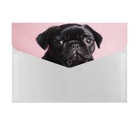 Adorable organiseur de documents en accordéon noir à 6 poches avec étiquettes, dossiers de documents de voyage, enveloppes en plastique avec fermeture à pression, 33 x 23 cm