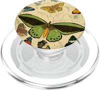 Adorable Papillon Vintage Illustration d'insectes PopSockets PopGrip pour MagSafe