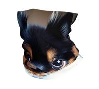 Adorable Petit Chien Poméranien De 11 Ans Écharpe Tube Élastique Protection du Visage Multi-Usage Cache-Col pour Yoga Moto Ski 25X50Cm