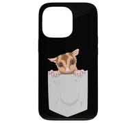 Adorable Planeur en Sucre Exotique pour Animal Domestique Coque pour iPhone 13 Pro