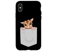 Adorable Planeur en Sucre Exotique pour Animal Domestique Coque pour iPhone X/XS