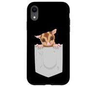 Adorable Planeur en Sucre Exotique pour Animal Domestique Coque pour iPhone XR