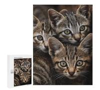 Adorable Tabby Kittens Puzzle 1000 Pièces Educa Jouet en Bois Cadeau Unique Décoration Intérieure Jeu Éducatif Challenge Toy Adultes Et Enfants À Partir De 14 Ans 500 PCS