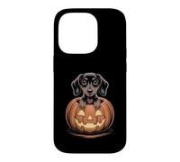 Adorable Teckel en Citrouille drôle Chien Wiener Halloween Coque pour iPhone 14 Pro