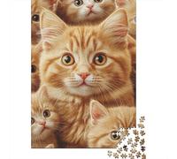 Adorables Chats Oranges Groupe Puzzle 1000 Pièces Papier pour Adultes Animal Chat Scène Jeu de Puzzle 1000 Pièces Relaxation Décoration Cadeau 70x50cm/1000pcs