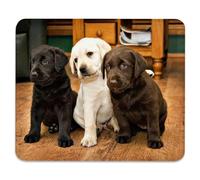 Adorables Chiots Labrador Tapis Souris Bords Cousus Mouse Pad Portable Tapis De Souris pour Maison Gamer Ordinateur 25X30Cm