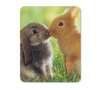 Adorables Lapins Tapis De Souris Lavable Mouse Pad Portable Mousepad pour Bureau Ordinateur Maison 25X30Cm