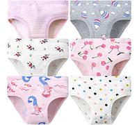 Adorel Culotte Pur Coton Slip sous-vêtement Fille Lot de 6 Rose 4-5 Ans (Taille Fabricant: 120)