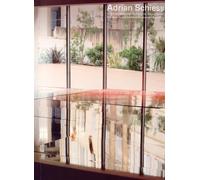 Adrian Schiess: Un discours sur la peinture, très banal, très traditionnel