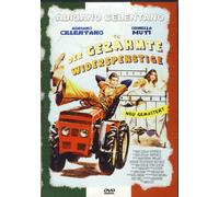 Adriano Celentano - Der gezähmte Widerspenstige - Widescreen Edition