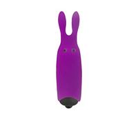 Adrien Lastic Jouets Sexuels Mini-vibro "Lastic Pocket Vibe" Violet