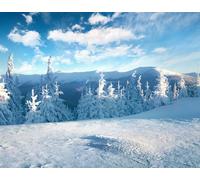 adrium 116551483 Poster de 60 x 50 cm - Carte postale d'hiver passionnante des montagnes des Carpates avec sapins enneigés - Scène extérieure colorée - Joyeuses fêtes du Nouvel An
