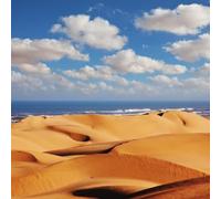 adrium 17856491 Poster 60 x 60 cm : côte atlantique au Sahara occidental, Maroc