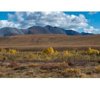 adrium Affiche 120 x 80 cm : Yukon au Canada, paysage sauvage à l'automne du Tombstone Park