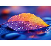 adrium Poster 90 x 60 cm : une vue rapprochée d'une feuille d'automne aux couleurs vives orange. Elle est décorée de gouttelettes d'eau scintillantes qui (242736940)
