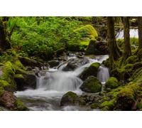 adrium Tableau composite en aluminium 110 x 70 cm : belle petite rivière dans la forêt verte (190440684)