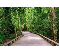 adrium Tableau composite en aluminium 140 x 90 cm : sentier en bois et sentier dans la forêt tropicale humide - près de Lio Beach, El Nido, Palawan, Philippines (139901647)