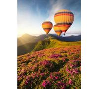 adrium Tableau composite en aluminium 50 x 70 cm : ballon au-dessus des montagnes en été. Concept et idée de l'aventure (102521526)