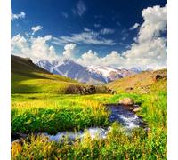 adrium Tableau composite en aluminium 70 x 70 cm : rivière sur prairie verte (26128344)