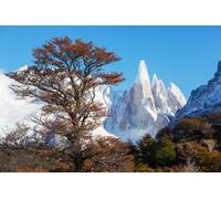 adrium Tableau en aluminium composite 90 x 60 cm : célèbre sommet Cerro Torre dans les montagnes de Patagonie, Argentine. Magnifiques paysages de montagne en Amérique du Sud (238831592)