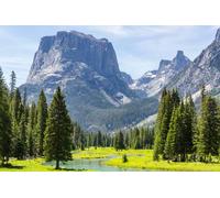 adrium Tableau en bois 80 x 50 cm : randonnée dans la gamme Wind River dans le Wyoming, aux États-Unis, saison estivale (204941402)