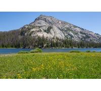 adrium Tableau en bois 90 x 60 cm : randonnée dans la gamme Wind River dans le Wyoming, aux États-Unis, saison estivale (207002741)