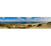 adrium Toile murale 90 x 20 cm - Vue sur la mer panoramique sur broche kuronique dans la région de Kaliningrad, Russie (87709899)