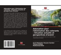 Adsorption Pour L'élimination Des Colorants : Situation Actuelle Et Perspectives D'avenir