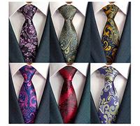 Adulove Cravate classique en soie tissée jacquard pour homme 6 pièces, Violet, gris, jaune, violet, rouge, violet, taille unique