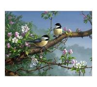 Adult 1000piece Bird and Flower Puzzle Suitable for Children's Gifts, Art and 38x52cm