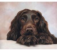 Adult 1000piece Puzzle English Cocker Spaniel Pet Dog Animal Suitable for Children's Decoration Gift 38x52cm